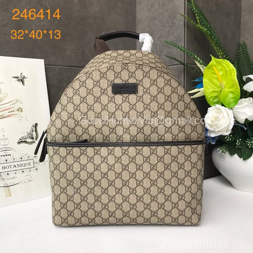 Gucci Handbag 246414 211088